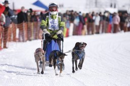 Lenk 2013